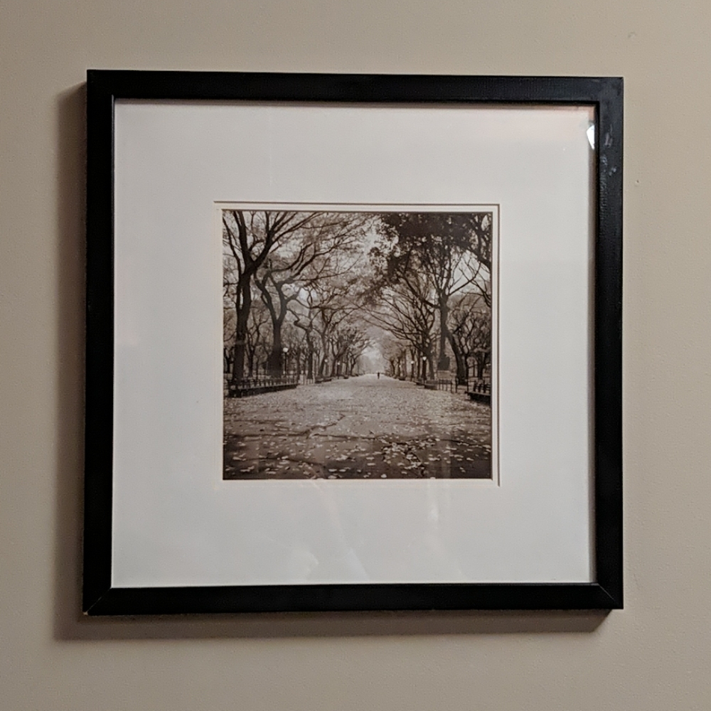 Central Park Path Lined With Trees Framed Photo